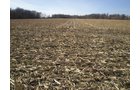 Property photo 18 - 159 Acres Offered in 7 Tracts